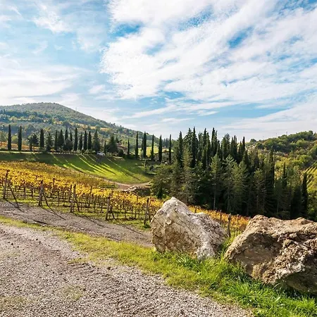 Uva Radda in Chianti