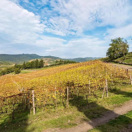 Uva Tatil Evi Radda in Chianti